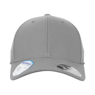 Flexfit, Unisex, Cap, 110 Pro-Formance, Grau, (One Size)