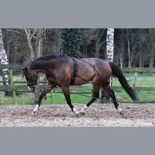 Hkm Pessoateugel - Longeerhulp - Zwart - One Size