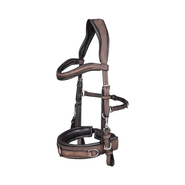 Waldhausen Lederkappzaum, Anatomic, Braun, Xwb thumbnail