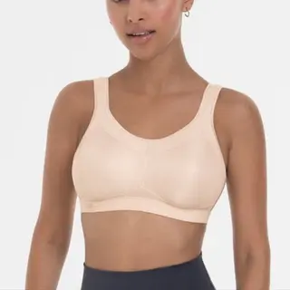 Anita Bh Momentum