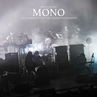 Beyond The Past (Lp)