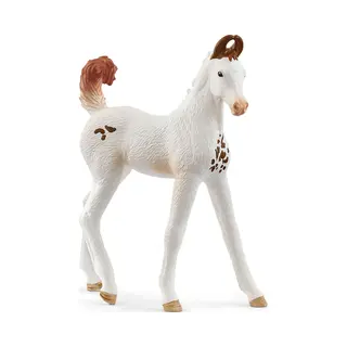 schleich Horse Club Marwari Foal