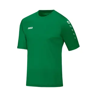 Trikot Jako Team