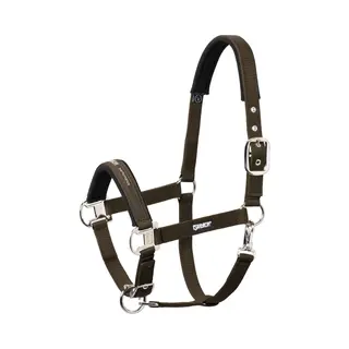 Eskadron Halfter Pin Buckle Core