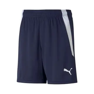 Puma TeamLIGA Shorts Kinder - Navy - 128