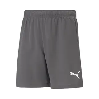 Puma, Jongens, Sportbroek, TeamRISE Kort Jr-704943 (164), Grijs