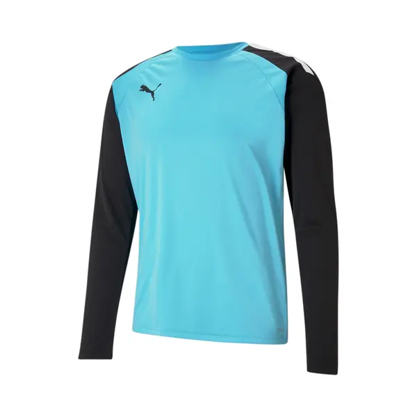 Puma, Herren, Sportshirt, TeamPACER Gk Ls Jersey-704933 (L), Blau, L thumbnail