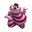 Cheshire