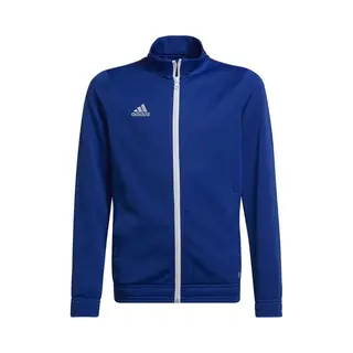 Adidas Performance Trainingsjacke "ENT22 Tk Jkty"