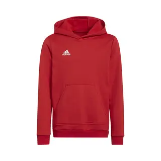 Kinder-Kapuzenpullover Adidas Entrada 22