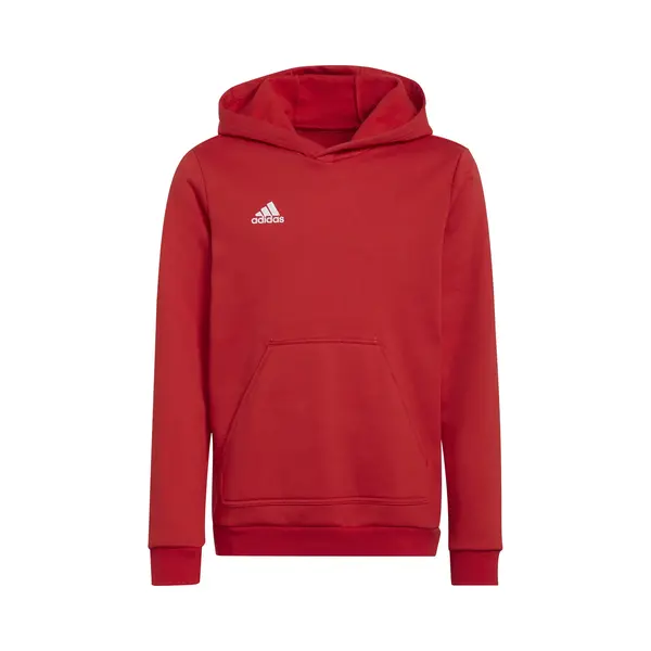 Kinder-Kapuzenpullover Adidas Entrada 22 thumbnail