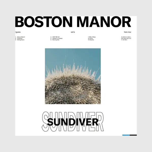 Boston Manor Sundiver Cd Multicolor thumbnail