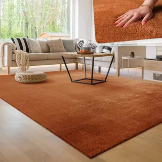 Paco Home Moderner Kuscheliger Wohnzimmer Teppich Kurzflor Waschbar Flauschig Weich Einfarbig Felloptik Zeitlos Stilvoll Rutschfest Pflegeleicht,