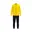 Geel