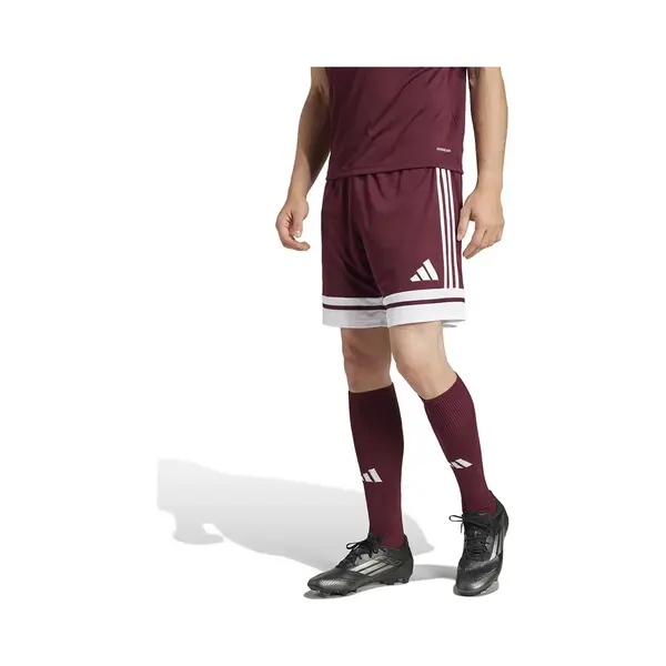 Adidas Shorts Short Squadra 25 Bordeaux thumbnail