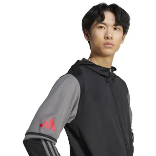 Adidas Herren SQUADRA25 Hoody Black/Team Grey Four/Pure Ruby, L