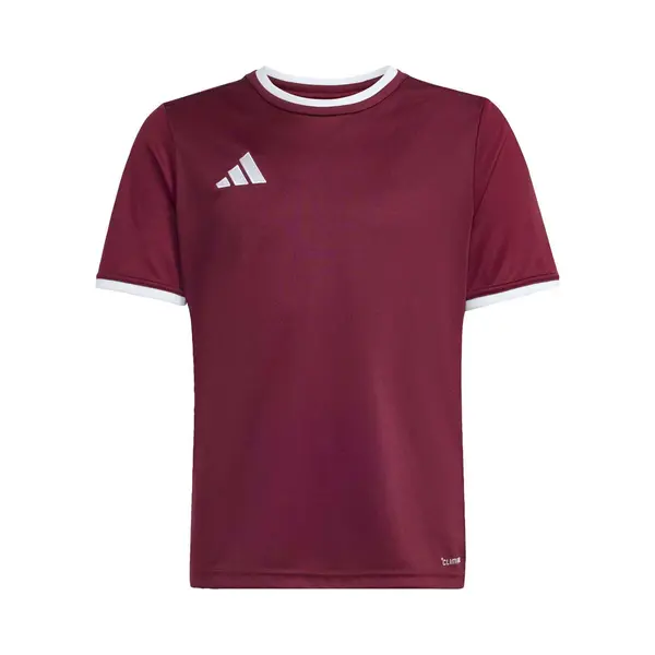 Adidas Performance Funktionsshirt ENT26 thumbnail