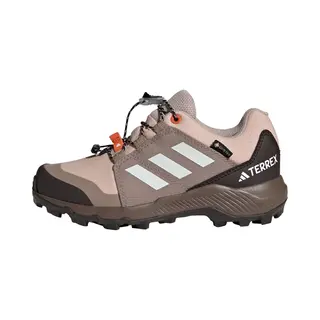Adidas Terrex Lage Schoen Bruin / Grijs / Zwart