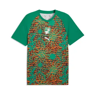Puma Elfenbeinküste Aufwärmtrikot Herren, Accessoires, Grün, S