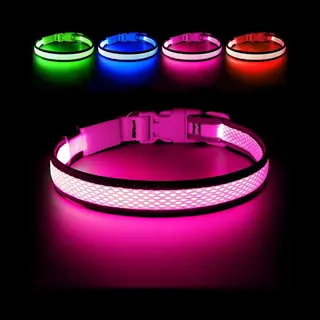 Led Hondenband - Oplaadbare Verstelbare Lichtband Voor Honden - Veiligheid En Zichtbaarheid In Het Donker - Voor Kleine, Middelgrote En Grote Honden -