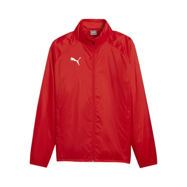 Puma Funktionsjacke TeamGoal thumbnail
