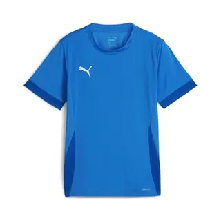 Puma, Jongens, Sportief Shirt, TeamGOAL Wedstrijdjersey Jr (164), Blauw, 164