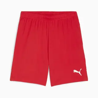 Puma teamGOAL