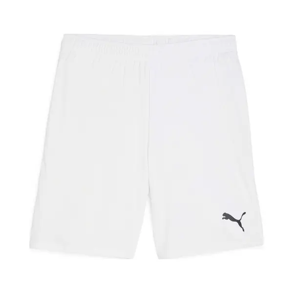 Puma TeamGOAL Shorts, Unisex-Erwachsene Gestrickte Shorts, Puma White-Puma Black, 705752 thumbnail