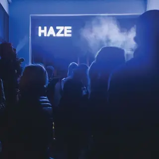 Vibrant Forms (Hoanzl) Haze