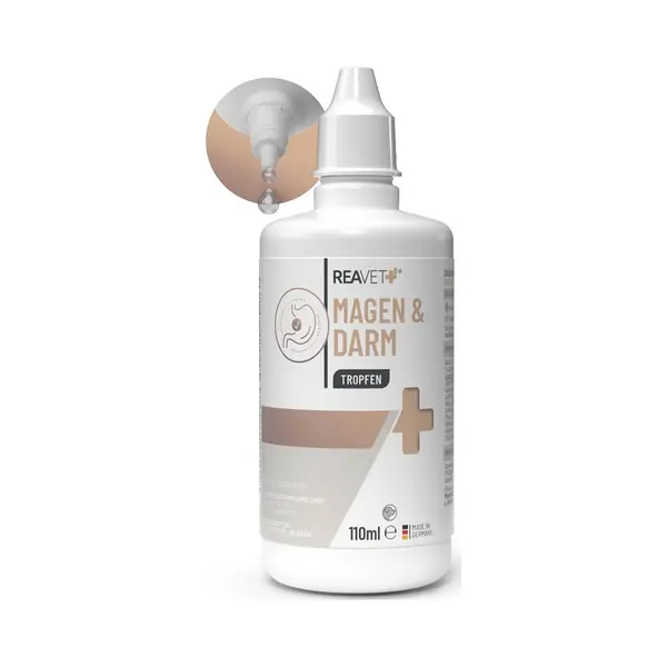 ReaVET Magen & Darm Tropfen Für Hunde 100ml I Darmsanierung Hund – Unterstützt Die Natürliche Verdauung & Darmflora, Darmregulierung - thumbnail