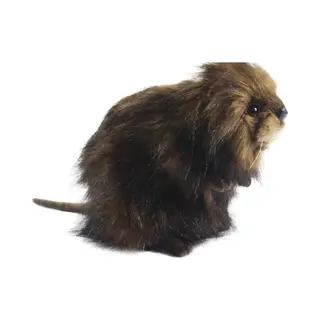 Hansa Muskusrat Knuffel - 22 Cm - Pluche - Realistisch Design - Knuffeldier