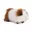 bruin, wit