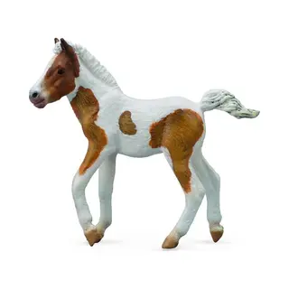 Collecta Dartmoor Hill Veulen - (M)