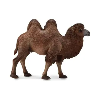 Collecta Wilde Dieren Kameel 12, 4 X 9, 5 Cm