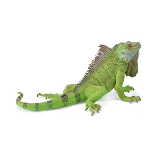 CollectA Iguana