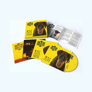 Cherry Red Records Big Country: Why The Long Face, 4CD Deluxe Expanded Box Set Cd Rock