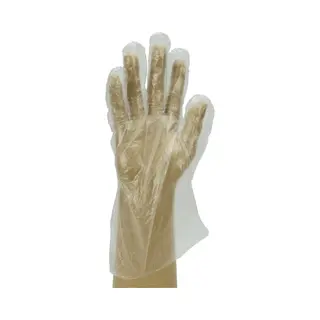 Agenda Disposable Polythene Gloves - 100