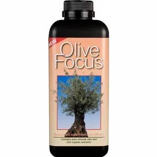 Growth Technology Olive Focus Liquid Concentrated Fertiliser 1 Litre