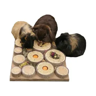 Rosewood Maze-a-Log Intelligenzspielzeug Für Kaninchen/Meerschweinchen Mit Leckerli-Versteck