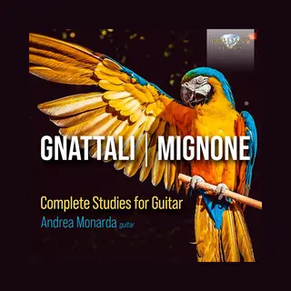 Brilliant Classics Gnattali, Mignone, Complete Studies For Guitar