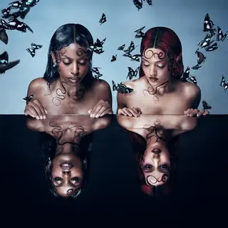 Parasites & Butterflies