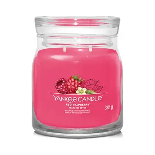 Yankee Candle Red Raspberry wax candle Round 1 pc(s)