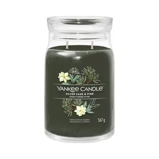 Yankee Candle Silver Sage & Pine kaars Cylinder Hout Groen 1 stuk(s)
