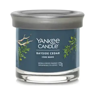 Yankee Candle 1744755E wax candle Cylinder Cedar Blue 1 pc(s)