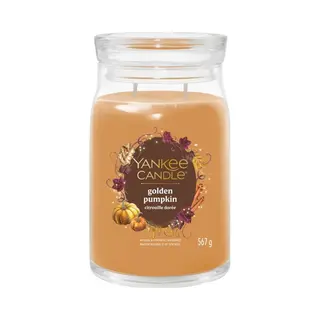 Yankee Candle 2653156E wax candle Round Pumpkin Orange, Transparent 1 pc(s)