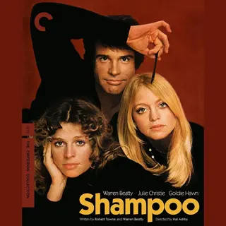 Spirit Entertainment Shampoo 1975 Criterion Collection Uk