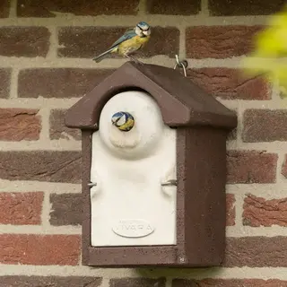 C J Wildlife Cj Wildlife Nestkast - Aanbevolen Door De Vogelbescherming Nederland - Sevilla - 28mm - Nestkastje Voor O.a. Pimpelmees, Zwarte Mees & Glanskop -