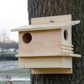 C J Wildlife Woonhuis Eekhoorn - Eekhoornhuisje