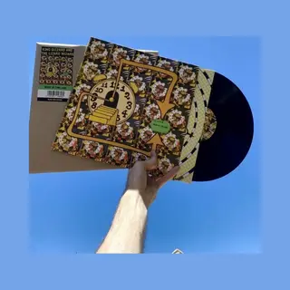 King Gizzard & the Lizard Wizard Made In Timeland [Vinyl]