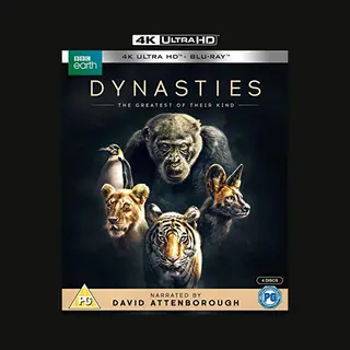 Dynasties